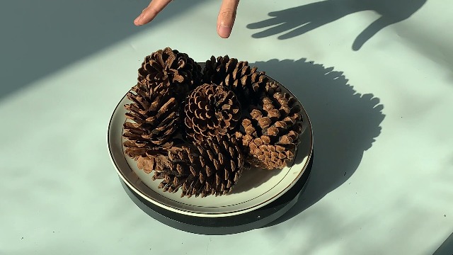 Lot De 12 Grandes Pommes De Pin Naturelles 8-12 Cm – Déco Rustique Noël, Artisanat, Vase & Table – Non Parfumées
