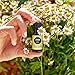 Edens Garden Copaiba Essential Oil- 100% Pure Premium Grade, Undiluted, Natural, Therapeutic, Aromatherapy, The Best for Diffuser, Skin, Face, Hair 10 ml (.33 fl oz)