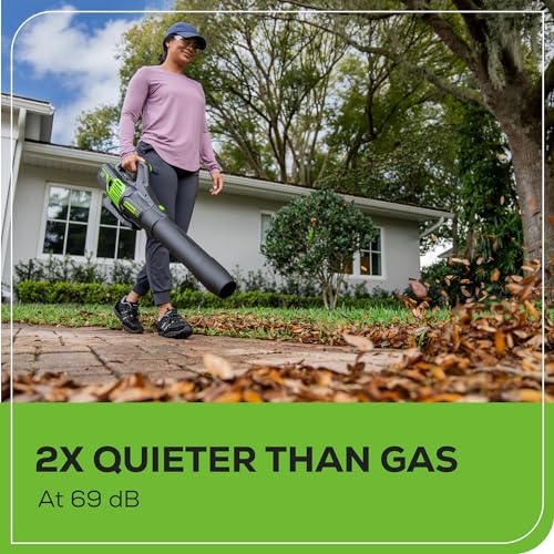 image for Greenworks 60V (610 CFM / 130 MPH) Cordless Leaf Blower, High Power, L