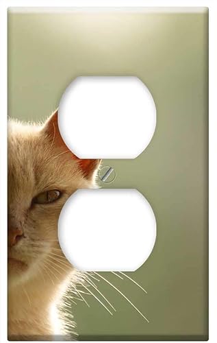 Switch Plate Outlet Cover - The Field Nature India Quindio Colombia 1