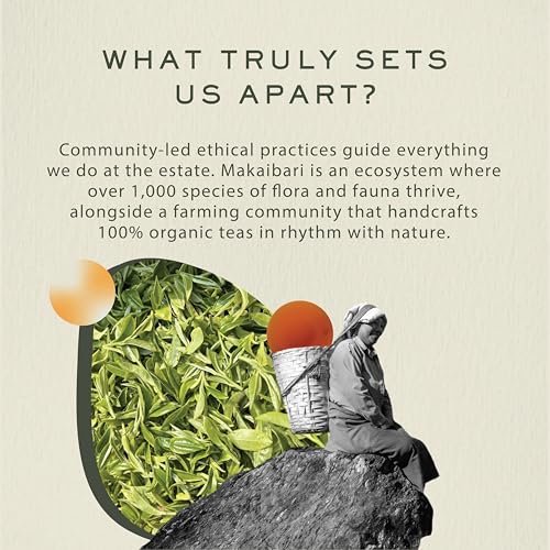 Makaibari Himalayan Spring First Flush Black Tea