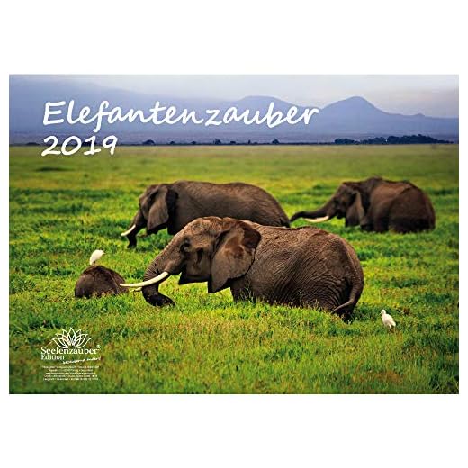 Elefant magique – Format A3 – Haute Calendrier 2019 – Éléphant – Afrique – Animaux – désert – Naturel – Coffret cadeau avec 1 carte de vœux et 1 carte de Noël – Édition âme magique