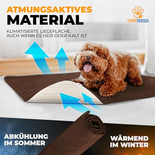 SympaTierisch wasserdichte Hundedecke - Robuste Hundematte als Schutz für Sofa & Bett - rutschfeste Hundedecke auch für große Hunde geeignet - in der Waschmaschine waschbar - 205 x 130 cm - braun