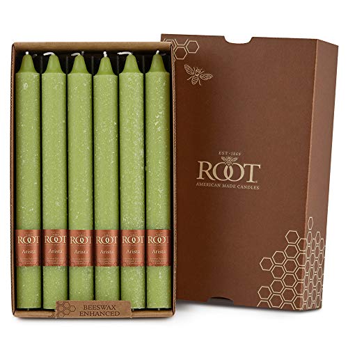 Root Candles 12-Count Unscented Timberline Arista Candles, Willow, 9-Inch