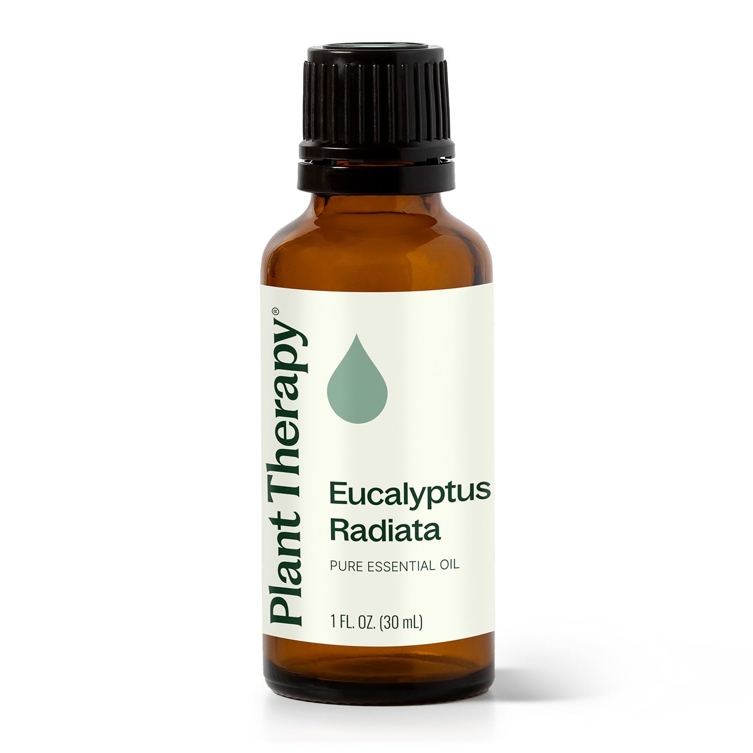 Plant Therapy Eucalyptus Radiata Essential Oil 30 mL (1 oz) 100% Pure, Undiluted, Therapeutic Grade