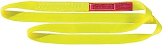 Web Sling  Type 5  Nylon  1inW  10 ft.L  - Compare price
