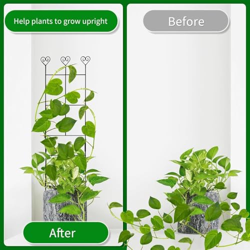 Enrejado de plantas y estacas de metal para evitar la caída de ramas 7
