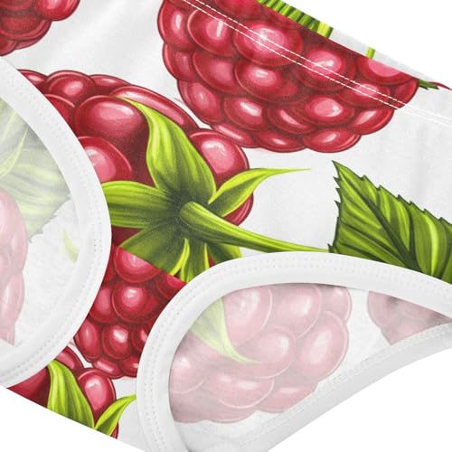 Toddler Underwear Floral 2t Cotton Little Girl Panties Artistic Briefs Kids Undies Juicy Red Raspberries White4
