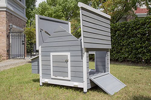 Pets Imperial® Hawksmoor Hühnerstall – Grau – 2 Nistplätze – Hühnerhaus aus Holz – Schiebetablett & Dach zum Öffnen – Bild 4