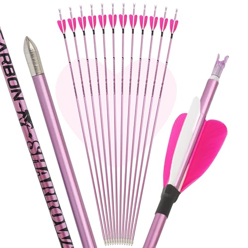 Flecha de Carbono Archery Pur Flecha de tiro de 31 pulgadas con pluma de pavo en forma de corazón de 2 pulgadas Spine 400 1000 Flechas de Tiro para Arco Compuesto Arco Recurvo (6, rosa, spine 800)