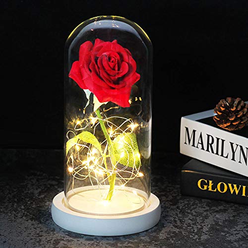 Preisvergleich Produktbild certainPL Rosenlampe led,Glas NEUES Jahr konservierte frische Blume Romantische Unsterblichkeit Ewige Blume Rose Glasabdeckung Farbe Present Beauty 1 Roses