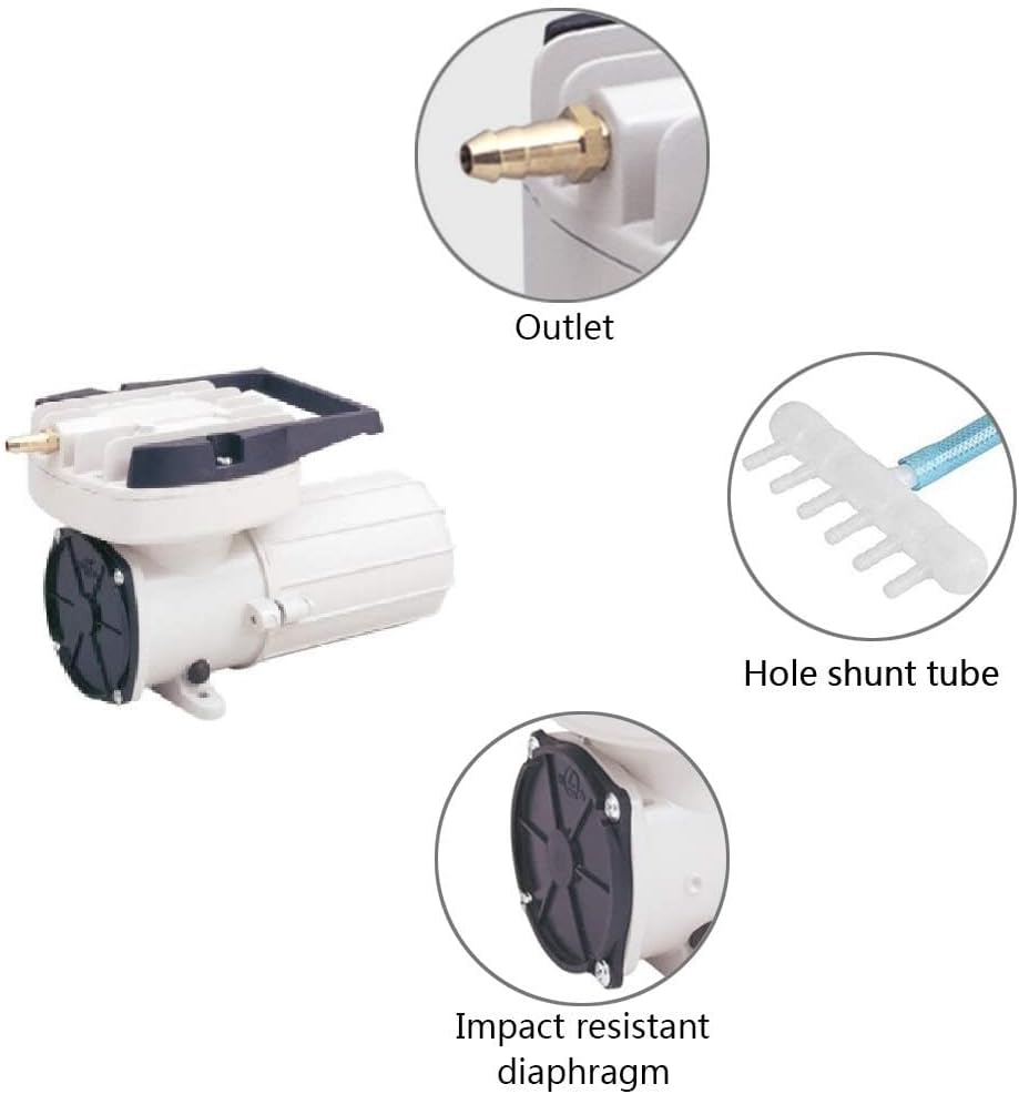 DC 12V 160LPM/Min 2536GPH 120W Aquarium Air Pumps Aquaculture Fish pood Pressure Compressor Aerator