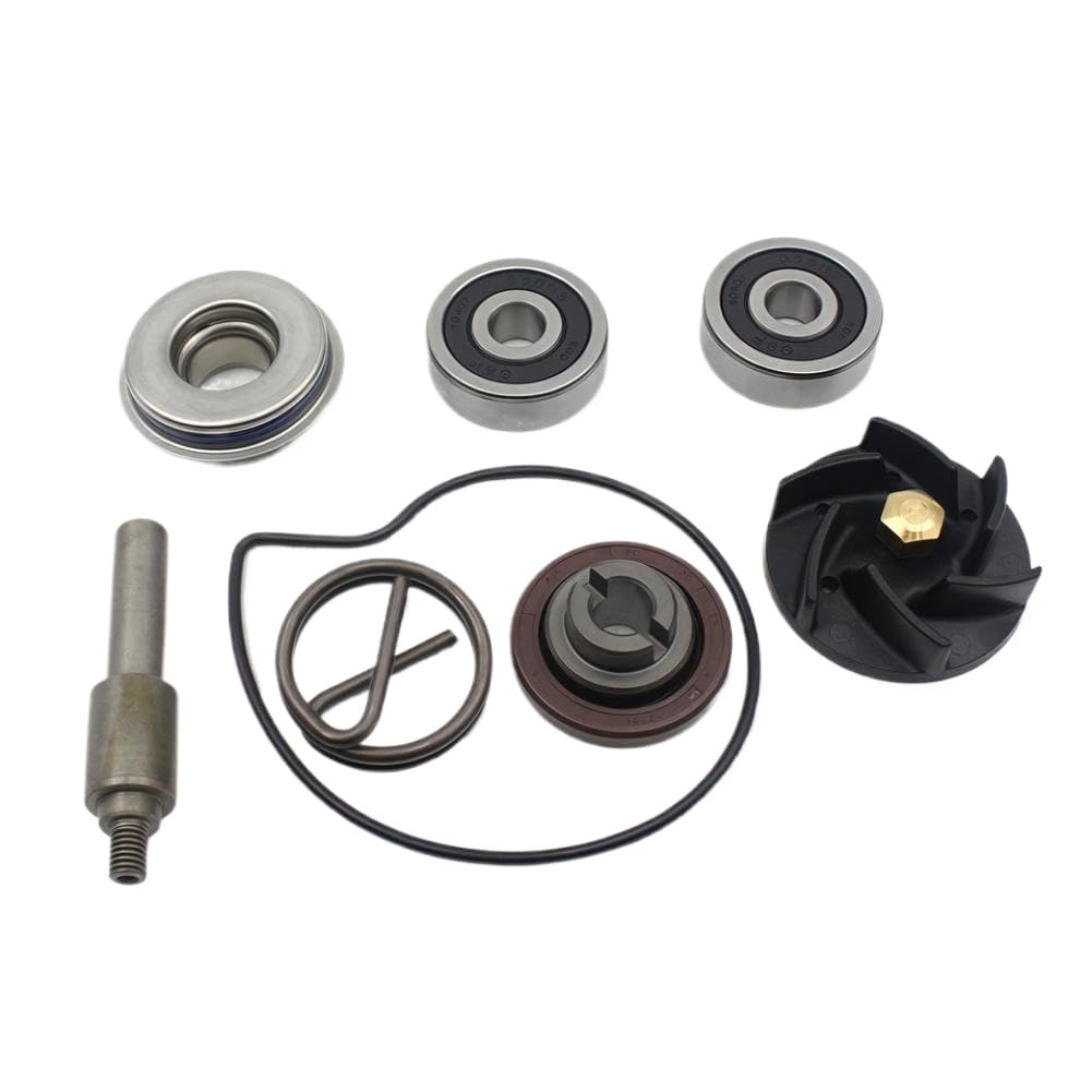 Guarnizione Meccanica Tenuta Olio Pompa Acqua 250ccm 4T Compatibile Con Piaggio GTS GTS Super GTV GT 60 250 300 MP3 LT