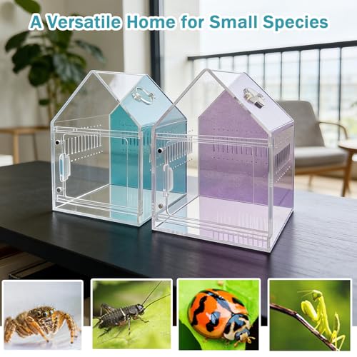 Image of Magnetic Acrylic Spider Enclosure 5.3x5.3x7.3 Inch, House Shape Terrarium with Blue or Purple Background for Jumping Spiders, Tarantula Slings & Mantis, Escape-Proof Habitat (Blue)