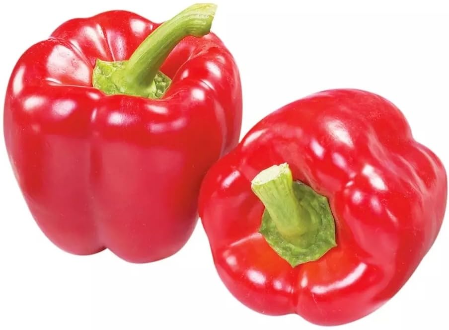 Willvine Organic Red Bell Pepper Capsicum-KMT-2K-image-33