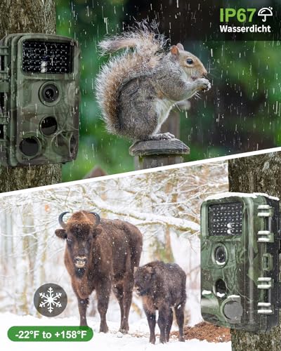 KJK 4K 64MP Wildkamera mit 64GB Speicherkarte, Wildtierkamera mit Nachtsicht, 0.05s Auslöser Bewegungsaktiviert, IP67 Wasserdicht 130° Weitwinkel 45 Stücks Infrarot-LEDs Schimmer Wildkamera