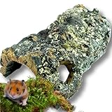 Vogelgaleria® Korktunnel 30cm mit 2 Löchern, Korkröhre für Kleintiere wie Hamster, Maus, Ratte, Gerbil, Degu, Käfigdeko, Hamsterhöhle, Hamsterversteck