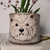 forkai Westie - Macetas antiguas para plantas de interior, regalo ideal