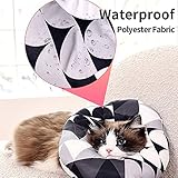 Zoom IMG-2 ansonboy collare di recupero per Zoom IMG-2 ansonboy collare di recupero per