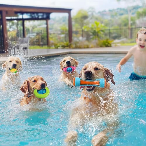 4 Pcs Interactive Dog Pool Toys, Water Floating Toys for Medium Large Dogs by MEWTOGO - Used condition - Image 6