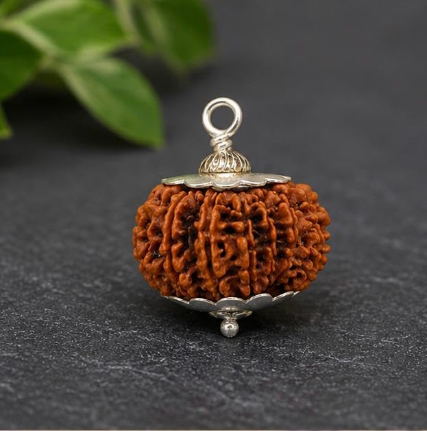 14 Mukhi Rudraksha Pendant | Original Certified Fourteen Mukhi Rudraksh Locket | Natural Nepali Rudraksha Pendant for Men & Women | 14 मुखी रुद्राक्ष पेंडेंट-image-24