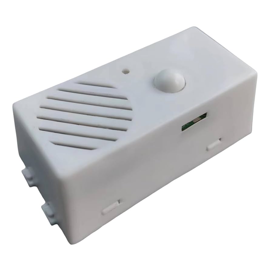 Amazon.com: BAIMOQI Squeezed Music Box Recordable Voice