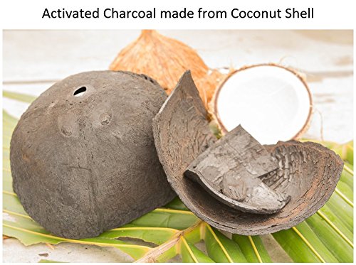 Nature’s Beauty Activated Charcoal Facial Cleanser, Made In Usa, Detoxifying Natural Cleanser With Citrus Scent, Revives And Refines Skin, Charcoal From Coconut Shell, For Men And Women - 6 Fl Oz #TOP4