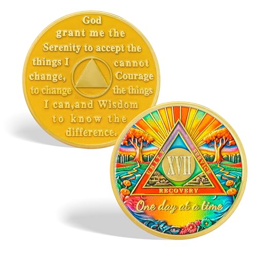 CHURYUML 17 Year Sobriety Coin - One Day at a Time Sober Chip, Affirmation AA Coins Recovery Medallions Alcoholics Anonymous Token Sobriety Gifts for Women & Men Celebrating Milestones in Sobriety