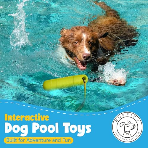 Image of Floating Dog Water Toys - 2 Pack, Bumper Throw Stick for Fetch
