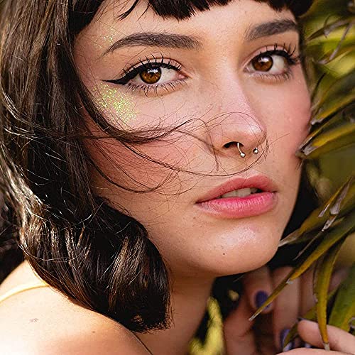 Anillo De Nariz Falsa Magnético De Acero Inoxidable | Cuotas Sin Interés