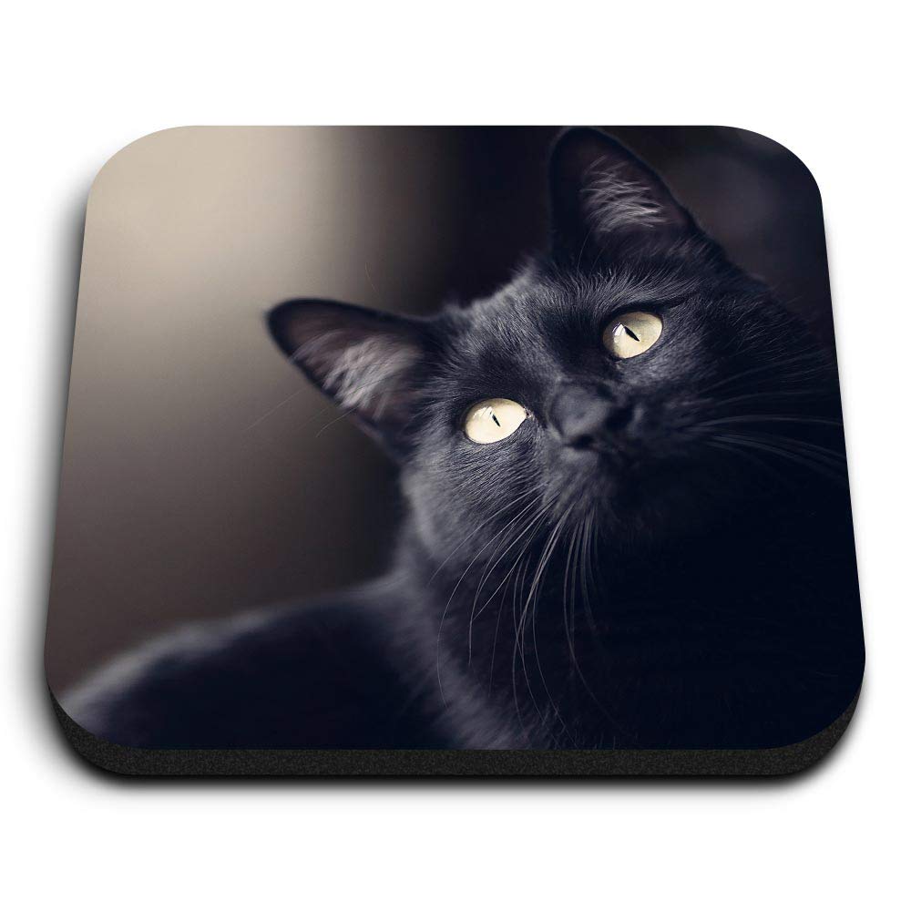 Destination Vinyl Ltd Multicolor 1 X Square Mdf Fridge Magnet - Black Cat Kitten 2603