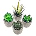 Künstliche Sukkulenten Pflanzen Yoyoblue Mini sukkulenten Pflanzen 4er-Set Plastik Dekorative Pflanzen Bonsai Ideal für Büro Balkon Deko Tischdeko und Outdoor Dekoration, Muttertagsgeschenke