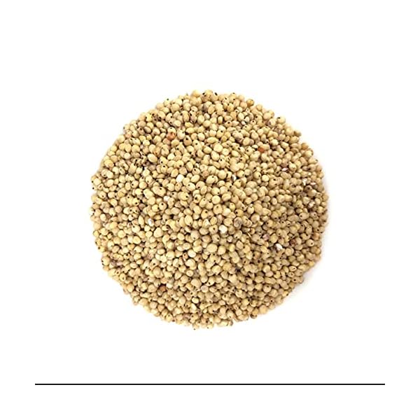 Organic-Whole-Grain-Sorghum-6-Pounds--Non-GMO-White-Groats-Raw-Milo-Seeds-Vegan-Kosher-Bulk-Broom-corn-Durra-is-Great-for-Making-Flour-and-Popped-Jowar-Dhani Organic Whole Grain Sorghum, 6 Pounds — Non-GMO White Groats. Raw Milo Seeds. Vegan, Bulk Broom-corn. Durra is Great for Making Flour and Popped Jowar Dhani
