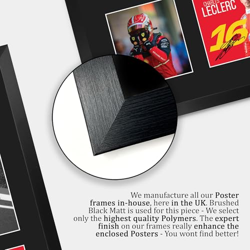 Autógrafo Charles Leclerc Ferrari F1 enmarcado sin deterioro 6