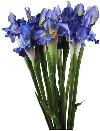 Xidmold 4 Bundle Real Touch Long Stems Iris Flower Silk Artificial Ireland Irish Iris Fake Flower for Wedding Decor Home Flower Arrangements Decoration (Blue)