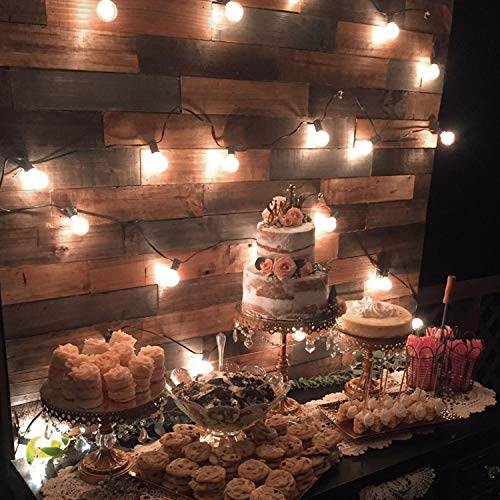 25Feet Led G40 Outdoor Patio String Lights With Led Clear Globe Bulbs, Warm White Ambience Indoor Or Outdoor Lights For Patio Garden Backyard Bistro Pergola Tents Gazebo Decor,Black Wire #TOP5