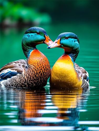 Peinture Diamant Canards Mandarins 70x100cm, Kit Complet de Broderie Strass Adulte R-1161