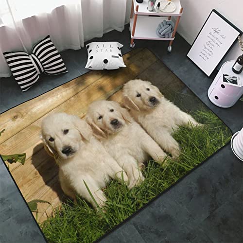 3�C�̃S�[���f�����g���o�[�̎q�� �A�j�� �J�[�y�b�g �����` ���O �ėp �h�_�j �R�� �h�L �ӂ���Ǝ�G�� ������� ���g�[�Ή� �􂦂� ����~�ߕt �L�����N�^�[ �l�C �v���[���g100x150cm W140