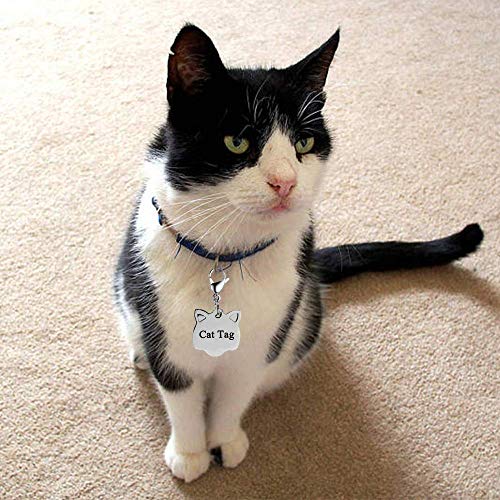 Ivia Dog Tag Clips / 316 Stainless Steel Lobster Buckle With Rings For Cat& Dog Collars And Necklace(4 Pack Silver) #TOP6