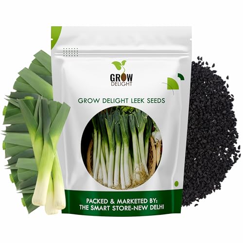 GROW DELIGHT Leek (Leek) (100 Seeds) Exotic Vegetable Seeds for Home Garden, Organic & Hybrid, Perfect for Home Gardening, Planting For Pots and Patio