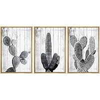SIGNWIN Framed Canvas Print Wall Art Black and White Cactus Groups Decorative Shapes Illustrations Modern Art Rustic Relax/Calm Warm for Living Room, Bedroom, Office - 16