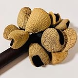 木の実の楽器 ガラガラシェイカー インドネシア ホピ スパイスナッツシェイカー