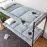 Colchón de suelo de tatami individual de 6 cm de grosor, diseño de dibujos animados, colchón plegable para niños, niñas, adultos, estudiantes, dormitorio, 90 x 190 cm