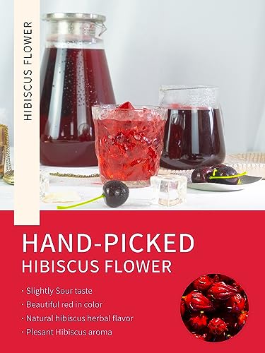 Image of TeeLux Hibiscus Iced Tea, Family Sized Hibiscus Tea Bags, Natural Hibiscus Flowers Herbal Tea, Refreshing Tart Flavor, Caffeine Free, 20 Count