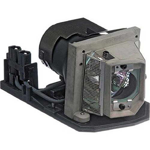 Amazing Lamps NP-10LP / NP10LP Replacement Lamp in Housing for NEC Projectors