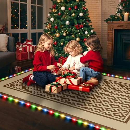 Image of Pafolo 5'x8' Outdoor Rug with LED Lights, Waterproof Plastic Straw Rug Reversible, Patio Rug with 4 Rug Stakes, Outside Carpet Mat for RV, Camping, Porch, Beach, Balcony, Picnic, Brown&White