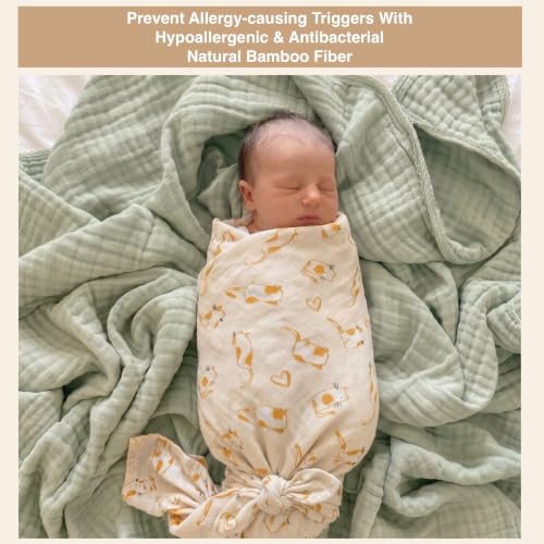 Image of DOTMOM Premium Organic Bamboo Baby Swaddle Wrapper Receiving Blanket