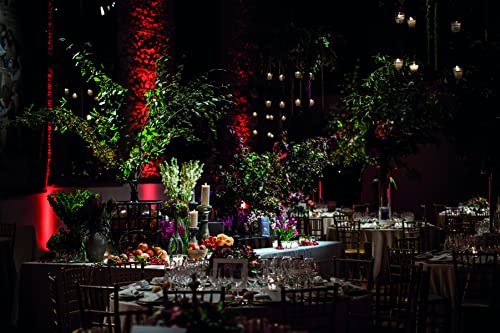 A-Tipica Weddings