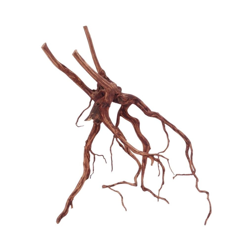 AquaOne XL Red Spider Wurzel Nr.4637 Aquarium Wurzel Moorwood Holz Deko Aquascaping Dekoration Landschaft Mangrove Moorkien Moos Natur Echtholz
