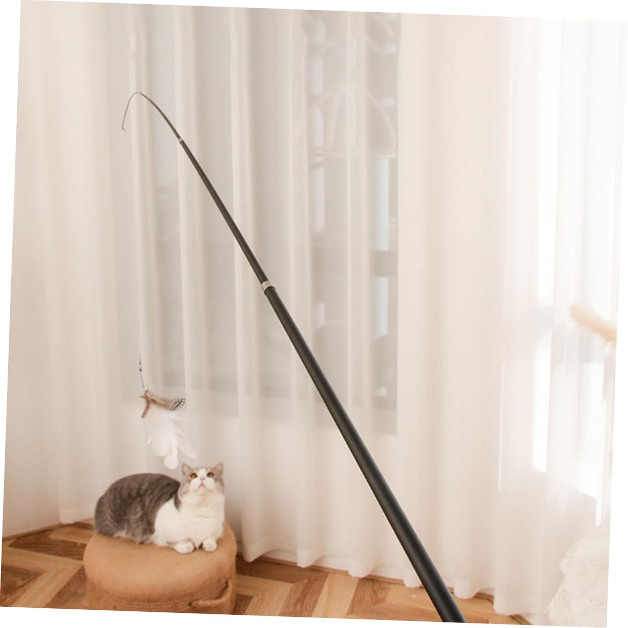 Mipcase 8pièces Télescopique pour Chat Jouet Interactif avec Plume pour Activité Curiosité des Félins
